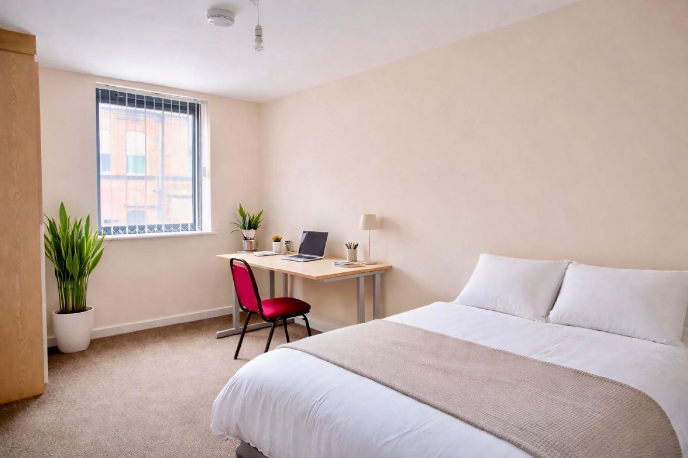 Images for 6a Wilkinson Street