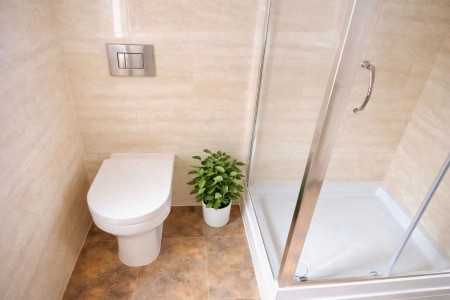 Images for 6a Wilkinson Street