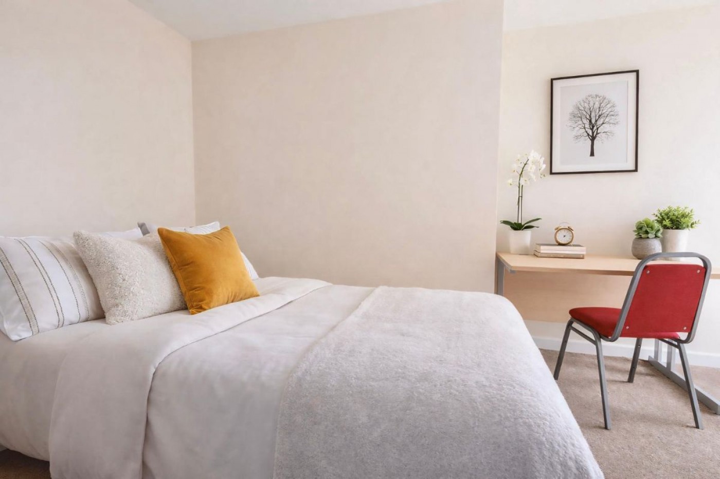 Images for 6b Wilkinson Street