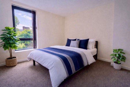 Images for 6b Wilkinson Street