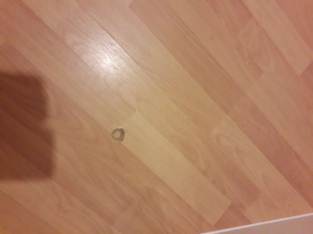 Images for 3 Holywell Gardens