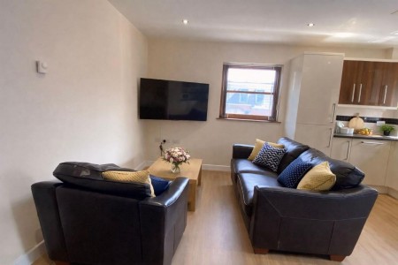 Images for Lion Works, Arundel Street